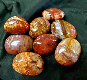 Petrified Wood Pebble