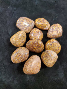 Coquina Jasper Pocket Stone
